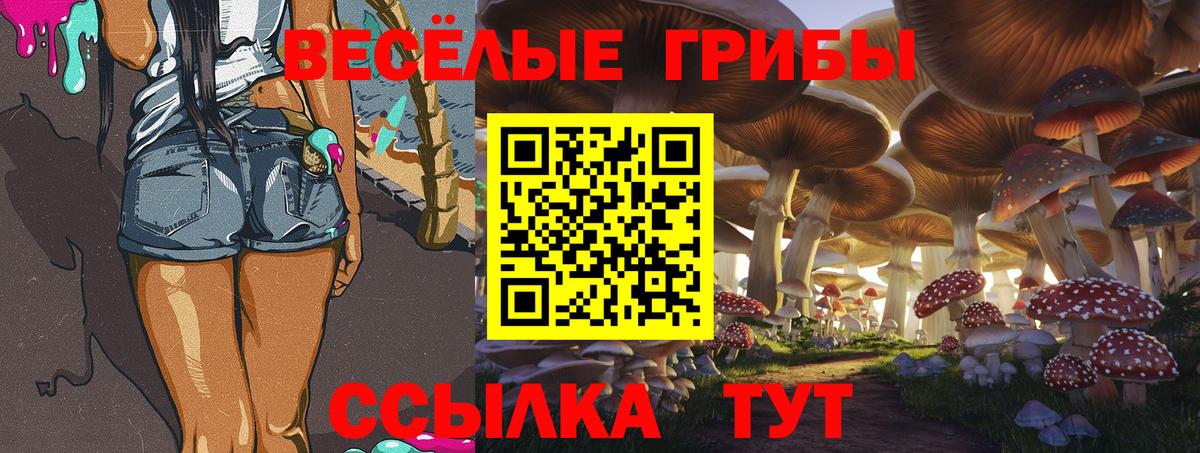 Галлюциногенные грибы мицелий Сызрань