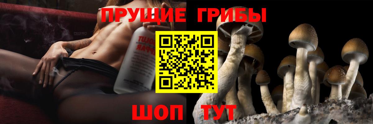 Галлюциногенные грибы прущие грибы  Вход с VPN  Сызрань 